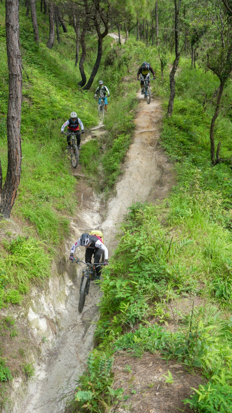 Mountainbiker fahren auf einem schmalen Feldweg durch Bäume.