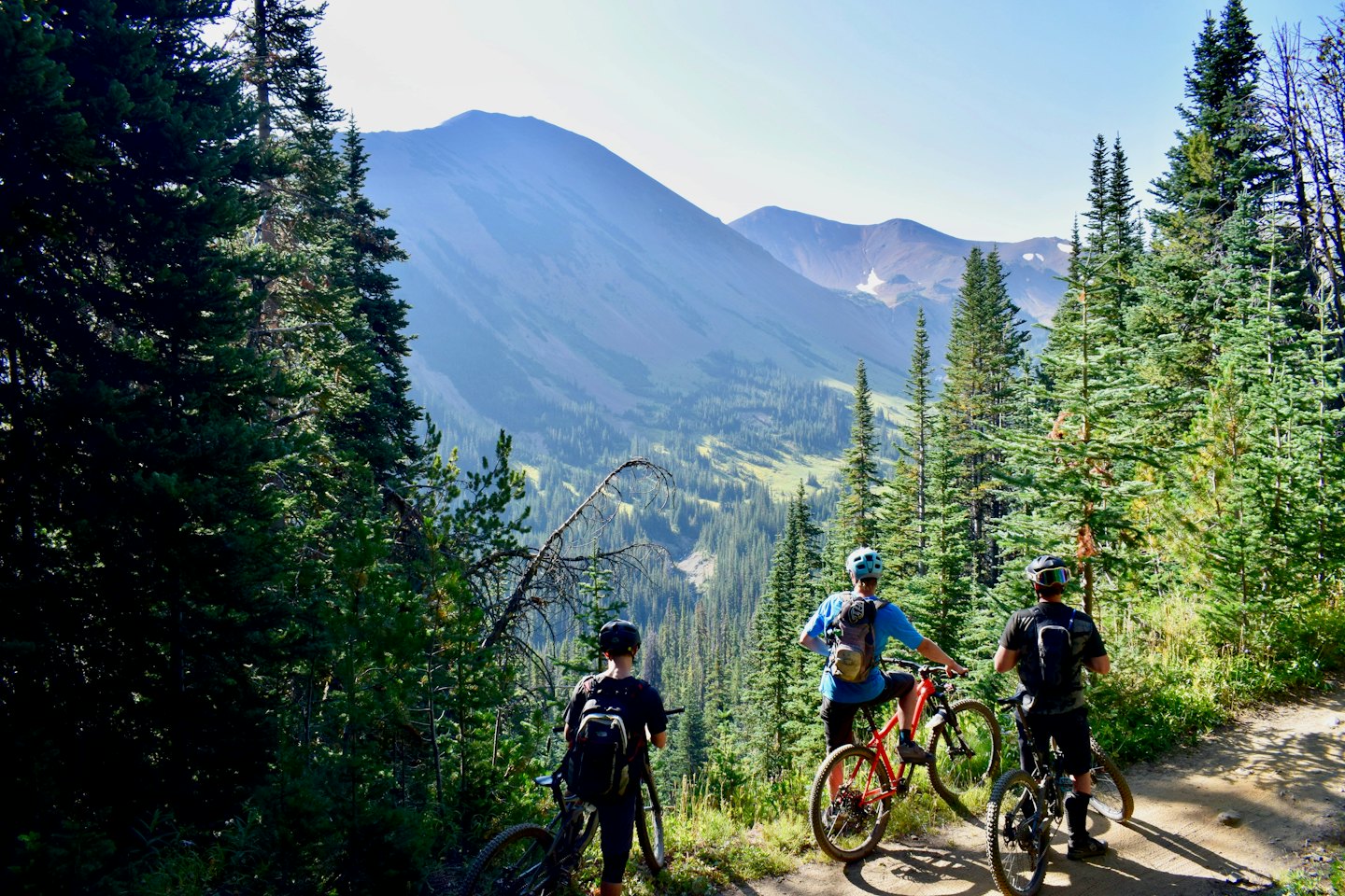 Drei Mountainbiker ruhen sich auf einem Trail mit malerischem Talblick aus.
