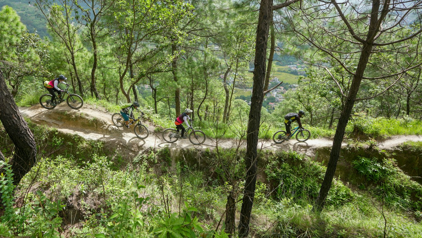 Vier Mountainbiker fahren auf einem gewundenen Wald-Schotterweg.